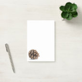 一つの松ぼっくり ポストイット (オフィス)