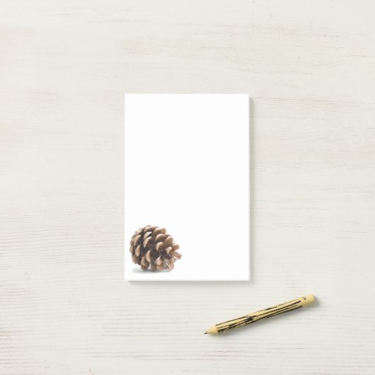 一つの松ぼっくり ポストイット (デスク上)