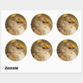 一つの金の冠を持つ雀の回復力 ラウンドシール (シート)