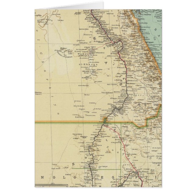 一一五エジプト (正面)