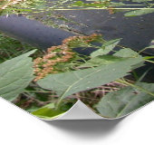 一万の湖の国 ポスター (角)