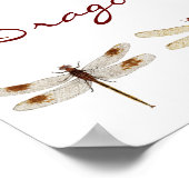 一二トンボ種 ポスター (角)