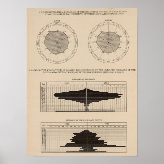一二四死病、消化器系、肝臓 ポスター (正面)
