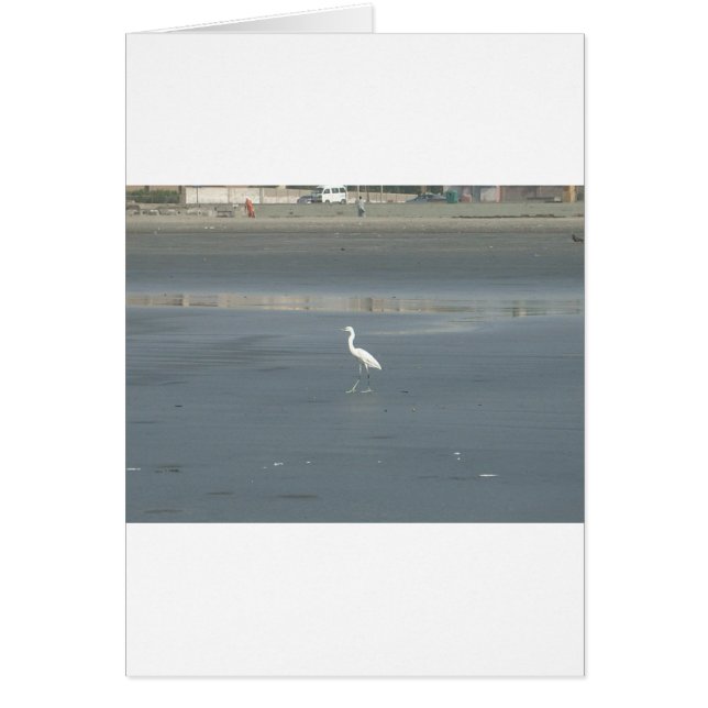 一人で歩く.JPG (正面)