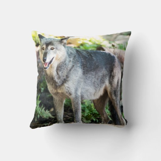 一人で立っている灰色の狼 クッション (裏面)