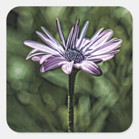 一人で立つ紫の花 スクエアシール (正面)