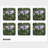 一人で立つ紫の花 スクエアシール (シート)