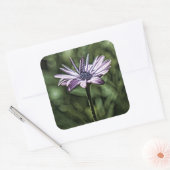 一人で立つ紫の花 スクエアシール (封筒)