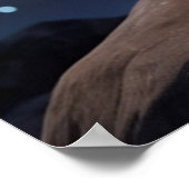 一人で評価：子猫の知恵 ポスター (角)