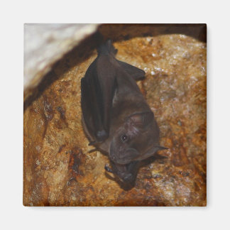 一人で マグネット