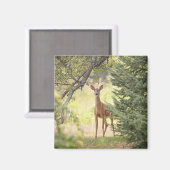 一人の鹿 マグネット (正面/裏面)