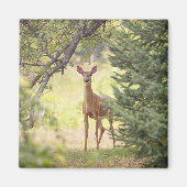 一人の鹿 マグネット (正面)