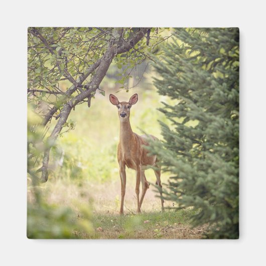 一人の鹿 マグネット (正面)