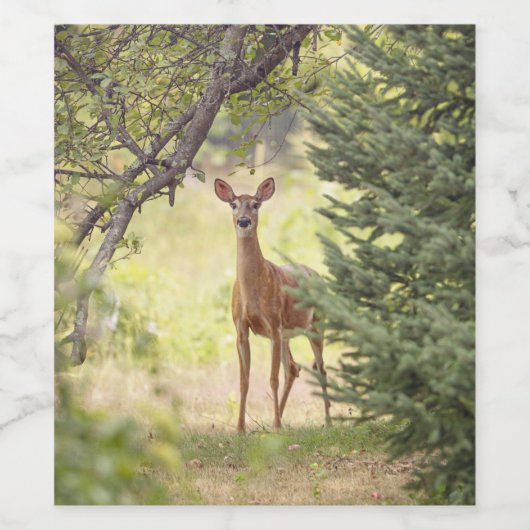 一人の鹿 ワインラベル (シングルラベル)