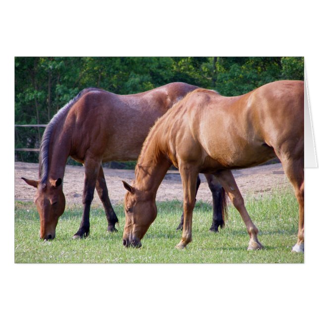 一体性 (正面横)