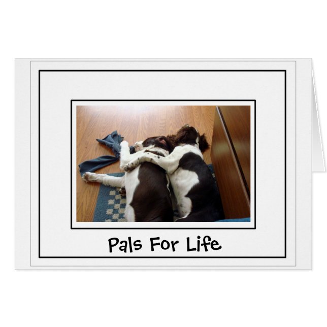 一体性 (正面横)