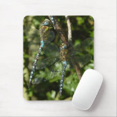 一体性! マウスパッド (マウス)