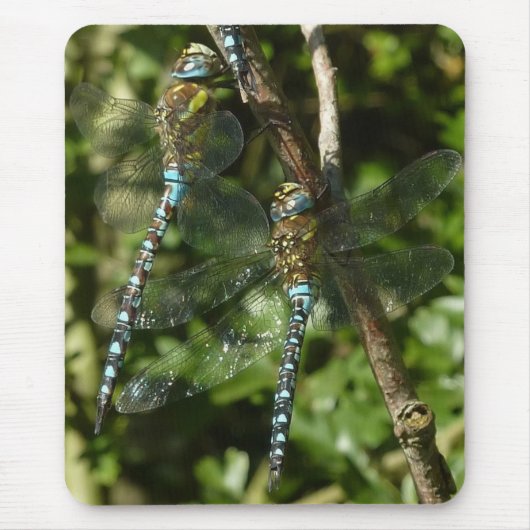 一体性! マウスパッド (正面)