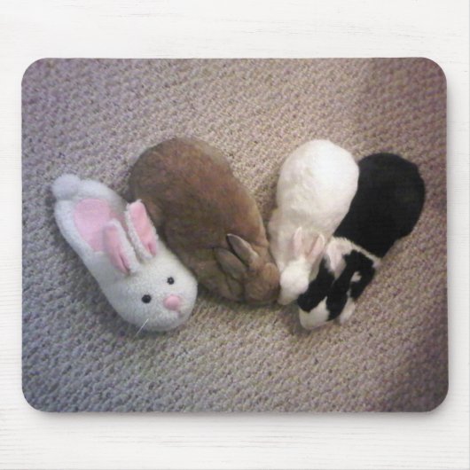 一体性 マウスパッド (正面)