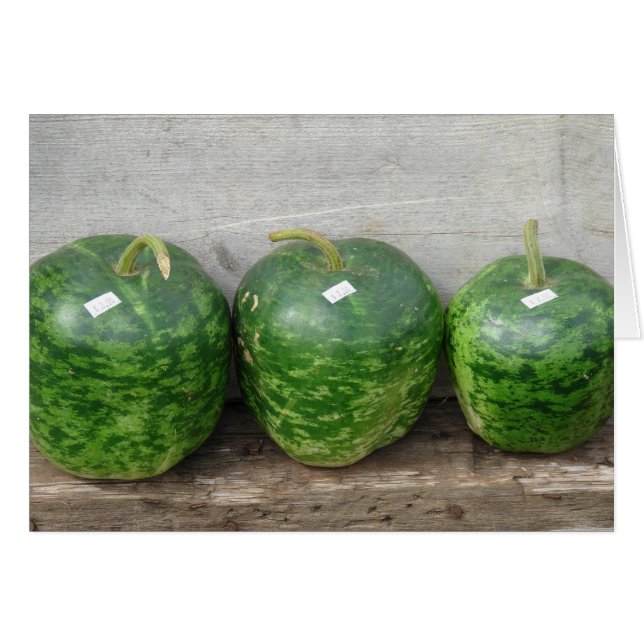 一列に並ぶ瓜 (正面横)