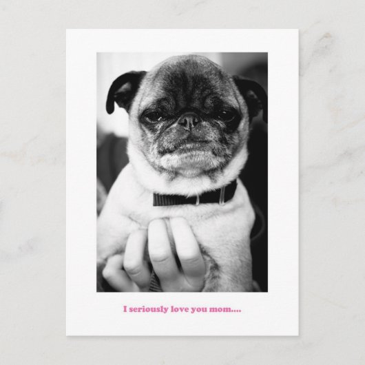 一刻も早く ポストカード (正面)