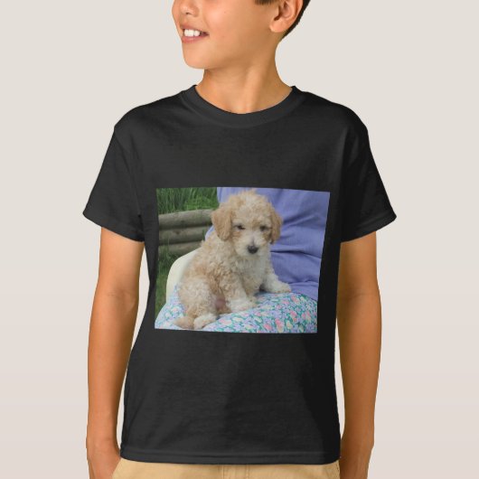 一匹の愛らしいキャバプーの子犬がこちらを見つめている Tシャツ (正面)