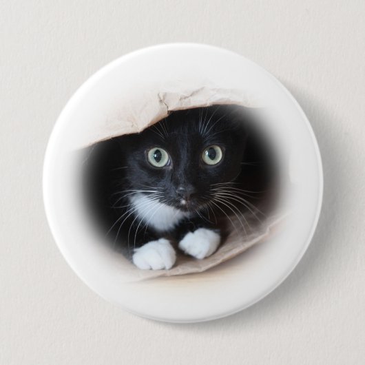 一匹の猫 缶バッジ (正面)