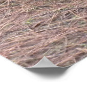 一匹の野鳥 ポスター (角)