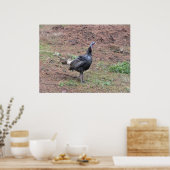 一匹の野鳥 ポスター (キッチン)