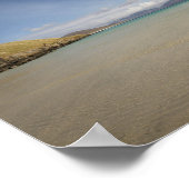 一匹蚊 ポスター (角)