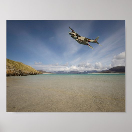 一匹蚊 ポスター (正面)