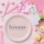 一口の一口のhooray誕生会の紙皿 ペーパープレート (パーティー)