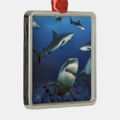 一周の鮫 メタルオーナメント (右)