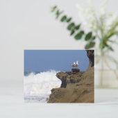 一対のカモメ ポストカード (スタンド正面)