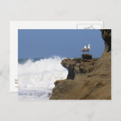 一対のカモメ ポストカード (正面/裏面)