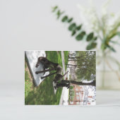 一対のメタルドッグ ポストカード (スタンド正面)