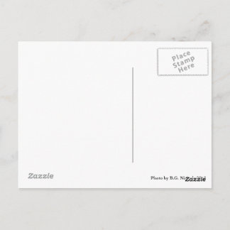 一対のメタルドッグ ポストカード