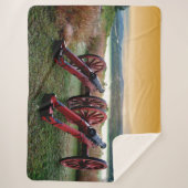 一対の大砲 シェルパブランケット (正面)