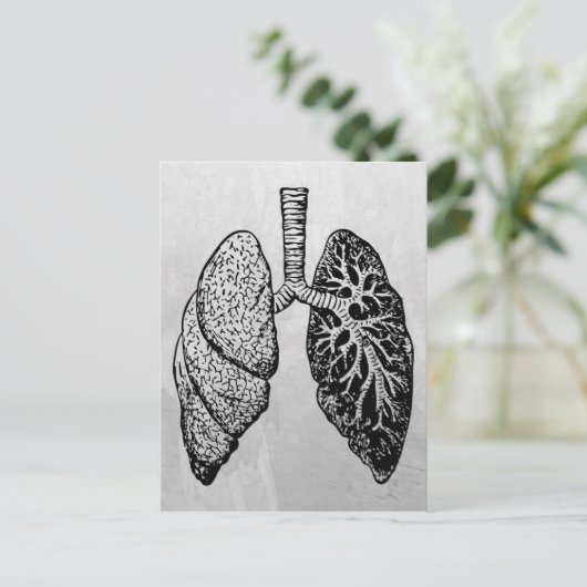 一対の肺 ポストカード (スタンド正面)