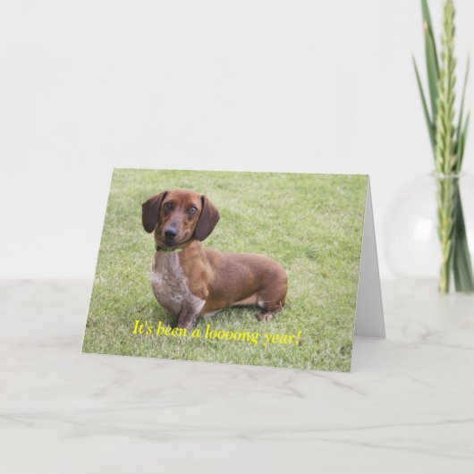 一年が過ぎた カード (正面)