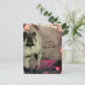 一度に一歩、ブルドッグ ポストカード (スタンド正面)