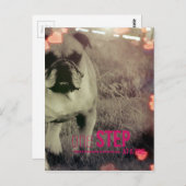 一度に一歩、ブルドッグ ポストカード (正面/裏面)