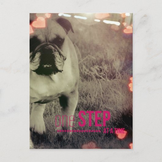 一度に一歩、ブルドッグ ポストカード (正面)