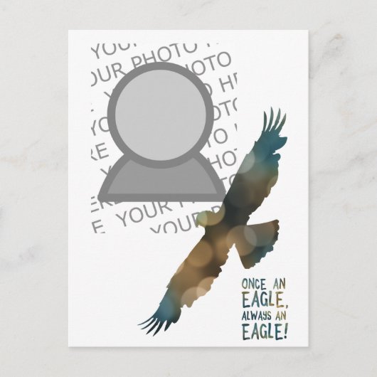 一度は鷲の写真を撮る ポストカード (正面)