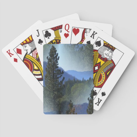 一度は… トランプ (裏面)