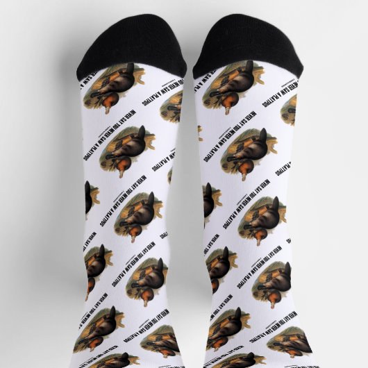 一度もプラタナスを見たことがない ソックス (上部)