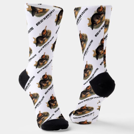 一度もプラタナスを見たことがない ソックス (傾斜あり)