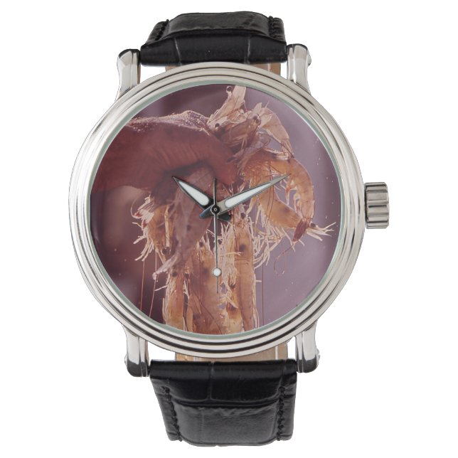 一握りのエビ 腕時計 (正面)