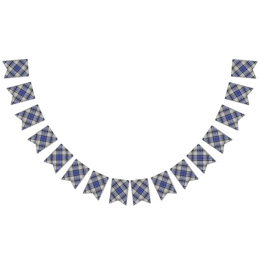 一族Hannayの白く及び青のタータンチェック バンティングフラッグ (全)