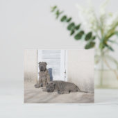 一日ずつ... ポストカード (スタンド正面)